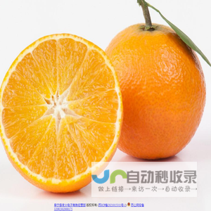爱媛橙