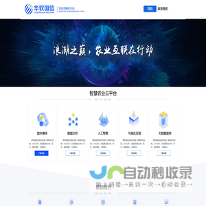 北京华软国信