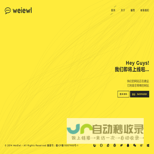 维E网络