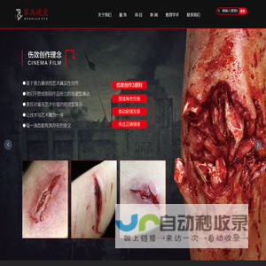 笨鸟视觉（北京）文化有限责任公司