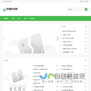 朱阁黑木耳网