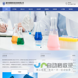 重庆泰莱斯科技咨询有限公司