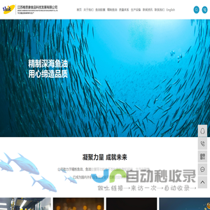 精炼鱼油