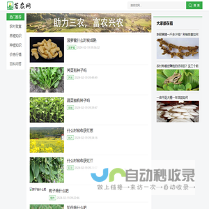 若农网