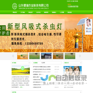 杀虫灯厂家