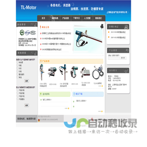上海铤龙电气技术有限公司