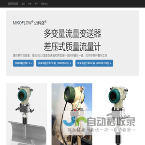 - 迈科洛仪表