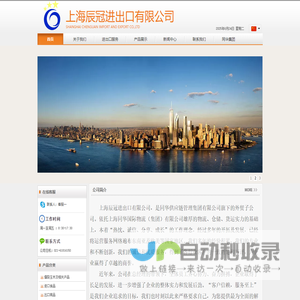 上海辰冠进出口有限公司