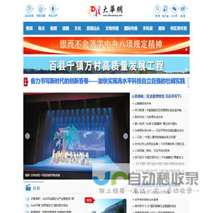 大华网
