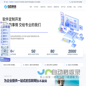 软件开发