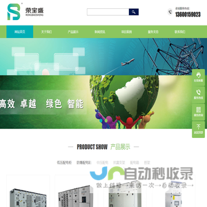 广东荣宝盛电气有限公司