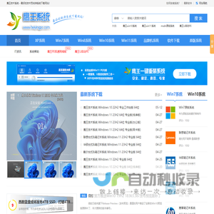 鹰王技术系统