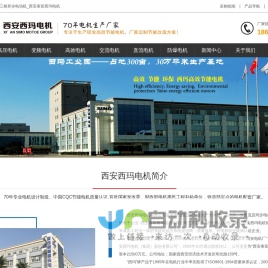 西安泰富西玛电机