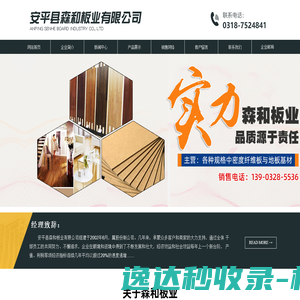 网站首页