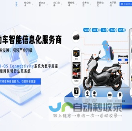 武汉蓝星科技