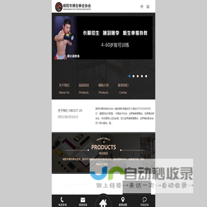 绵阳市搏击拳击协会