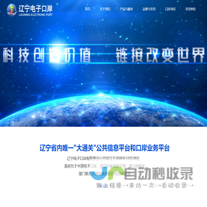 辽宁电子口岸有限责任公司