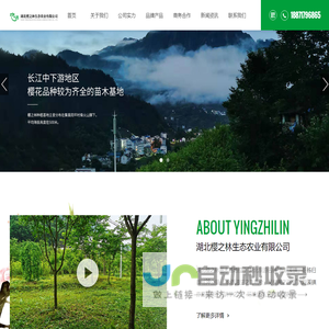 湖北樱之林生态农业有限公司