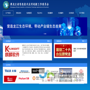 黑龙江省信息技术应用创新工作委员会