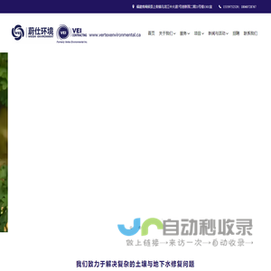 顶点