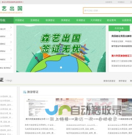 签证办理流程