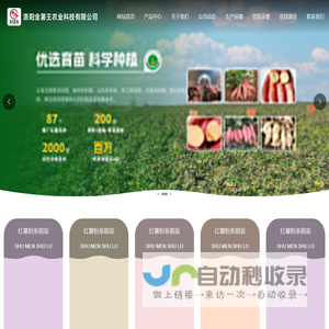 洛阳金薯王农业科技有限公司