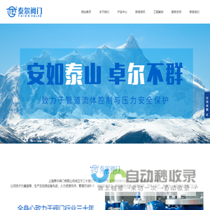 上海泰尔阀门有限公司