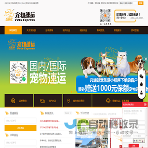 宠物运输