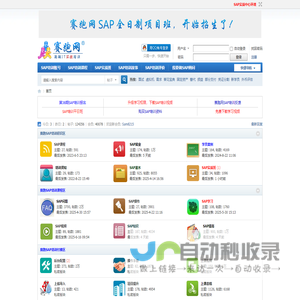 SAP培训