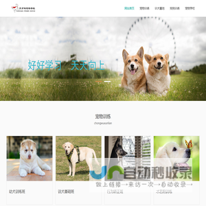 北京宠物学校
