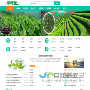 茶文化