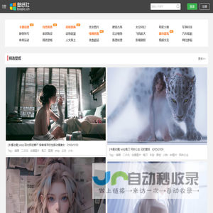 电脑桌面壁纸