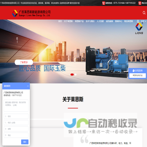 广西莱恩斯新能源有限公司
