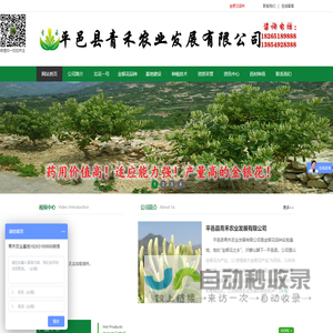 平邑县青禾农业发展有限公司