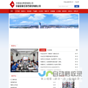 中盐安徽红四方股份有限公司