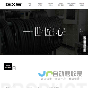 GXS