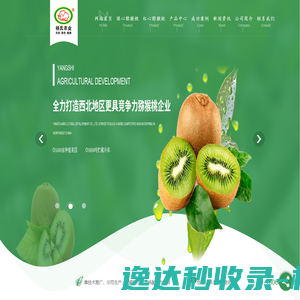 陕西绿心猕猴桃价格