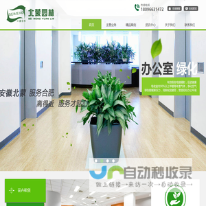 合肥园林绿化养护工程