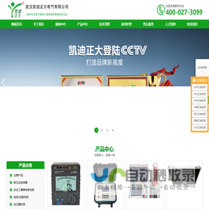 武汉凯迪正大