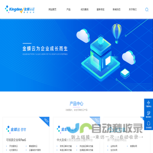 金蝶ERP