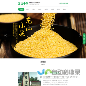 济南龙山小米开发有限公司