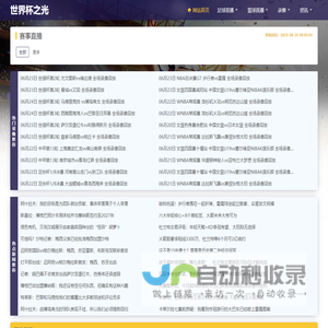 世界杯之光