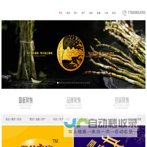 傲风网