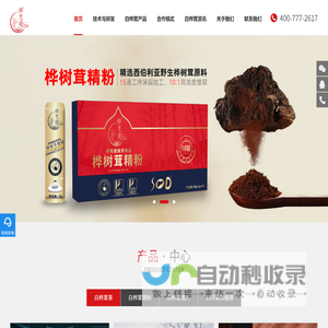 桦树茸