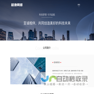硅地科技信息技术有限公司
