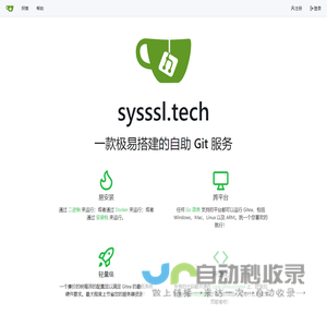 sysssl.tech