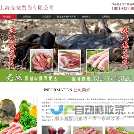 上海亮f贸易有限公司