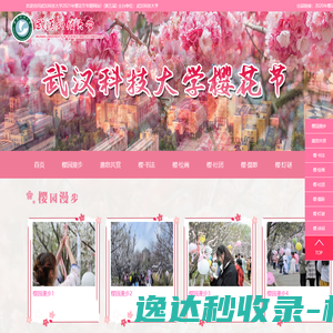 超声波振子胶