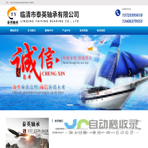 临清市泰英轴承有限公司