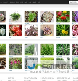 花卉